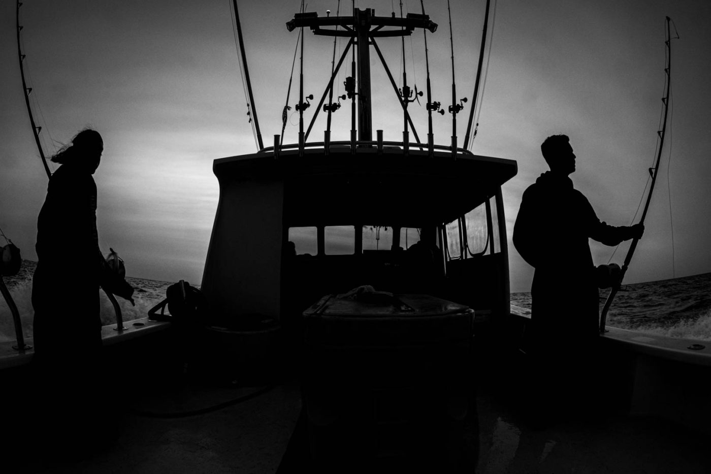 Cape Cod Shark Tagging