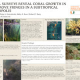 Visual Surveys Reveal Coral Growth in Mangrove Fringes in a Subtropical Metropolis