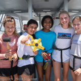 Shark Tagging with Grand Classroom