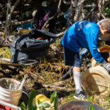 John Pennekamp Mangrove Cleanup - UM Sustainability Initiative