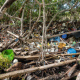 John Pennekamp Mangrove Cleanup - UM Sustainability Initiative