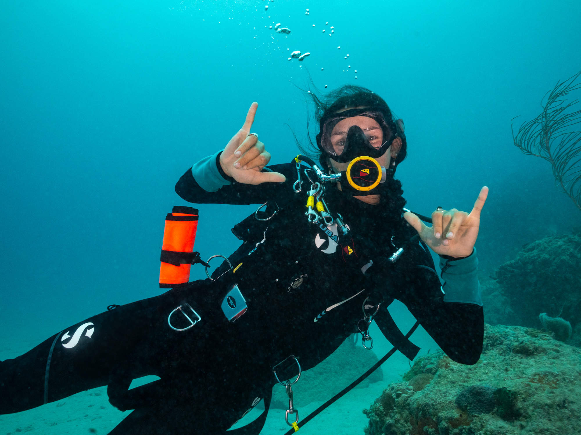 Dive Into Miami Hero